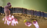 生物化学细胞结构医疗三维动画视频